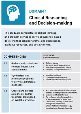 Using the Five Core Components of Competency-Based Medical Education to Support Implementation of CBVE